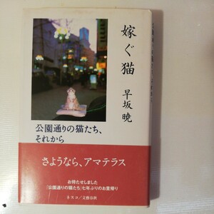 稼ぐ 猫　 公園通りの猫たち それから　 早坂暁　 サイン入り　棚 31 8