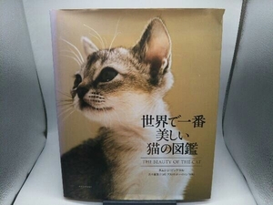 世界で一番美しい猫の図鑑 タムシン・ピッケラル