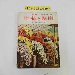 1_▼ 仕立図解 中菊と懸崖 附 中菊・懸崖十二ヶ月 中村謙二 加島書店 昭和31年10月15日 発行 1956年 記名有り