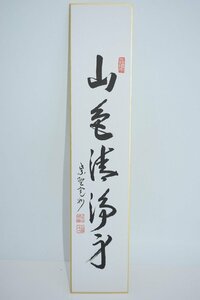 短冊 大徳寺 三玄院 長谷川 寛州 「山色清浄身」 茶道 02-8121