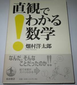 直観でわかる数学 畑村洋太郎