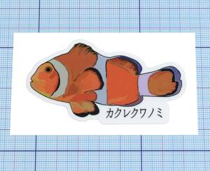 ★★ カクレクマノミ(Clownfish) のステッカー★★ 日本語 Ver. 左右約7.8cm×天地約4.3cm
