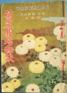 ★★菊花栽培秘訣 石井勇義 実際園芸 昭和3年10月臨時増刊 （5巻6号） 誠文堂・実際園芸社 痛