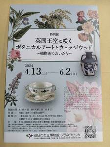 ★送料無料　四日市市立博物館 そらんぽ四日市 特別展 英国王室に咲くボタニカルアートとウェッジウッド 招待券★