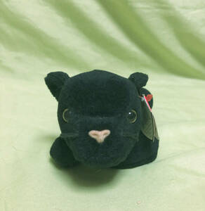 TY ビニーーベイビーズ！BEANIE BABIES Velvet君 タグケース無！黒犬！1995年２月16日生まれ！