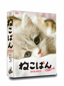 連続テレビドラマ ねこばん DVD-BOX