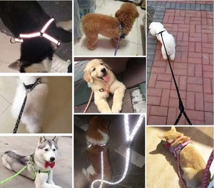リード Lサイズ 犬 夜反射 ベル LEDボール付き 約7.5-12.5kg 磨耗性 耐久性強い 長さ120㎝ 散歩用 夜間 安全 反射光
