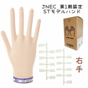 JNEC認定 滝川 STモデルハンド 右手 ネイルチップ付き 第1期JNEC認定モデルハンド 01-22-01 ネイリスト技能検定試験 タキガワネイル