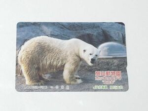 未使用 オレンジカード 旭山動物園 ホッキョクグマ コユキ 1000円券 JR北海道 旭川支社