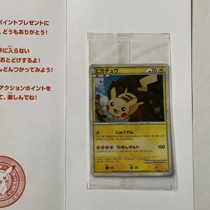 ☆ポケモンカード ポケモンだいすきクラブ ゴールドランク ピカチュウ 未開封 未使用品 台紙 封筒付 非売品 プロモ 長期保管品