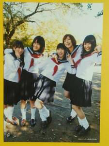 AKB48 鈴懸の木の道で 共通店舗特典 生写真