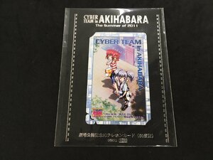 テレホンカード テレカ 50度数 あきはばら電脳組 劇場公開記念 IC テレホンカード KA・NON 未開封