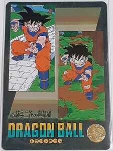 ☆1991年　カードダス　ドラゴンボール　ビジュアルアドベンチャー　№114　箱出し品