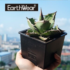 多肉植物 アガべ チタノタ専用の鉢 EARTHWEAR Drain Smart Pot S12 Black 5個セット排水性 通気性 スリット鉢 発根管理