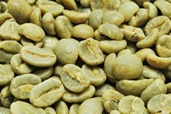 【２４㎏】コーヒー生豆 コロンビア エメラルドマウンテン 生豆 プレミアムコーヒー 自家焙煎 送料無料
