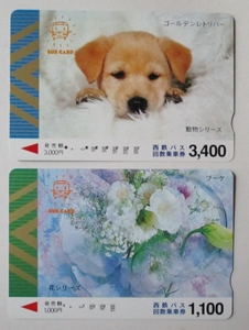 弥生特売　使用済み・バスカード (西鉄バス BUS CARD) ・2種(回数乗車券・犬・3,400、同・花・1,100)　小汚れ、良品　穴;7孔,4孔　経年不明