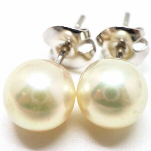 良品!!大珠!!＊TASAKI(田崎真珠) K18WGアコヤ本真珠ピアス＊m 約2.3g 約8.0mm pearl pierce earring jewelry DG0/DG9
