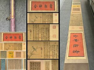 【瓏】「宋徽宗作 五色鸚鵡図珎品巻」宋代画家 肉筆絹本 真作 掛け軸 書画立軸 巻き物 中国書画 蔵出