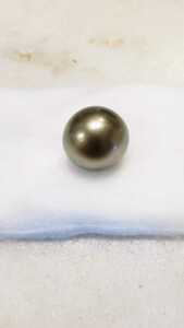 黑蝶真珠ルース、照りの良くエクボ少ない珠です大珠直径16.8㎜(写真3番にて)、グリーンかかってます。ぼぼピーコックカラー