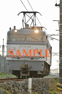 D-17【鉄道写真】Ｌ版１枚　EF６５　単機回送
