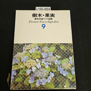 い55-054 樹木・果実 原色学習ワイド図鑑 Picture Encyclopedi a 9