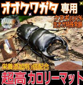 オオクワガタ専用☆超高カロリーマット！クヌギ生オガ特殊発酵！共生バクテリア、特殊アミノ酸など栄養添加剤3倍配合☆究極の特選マット