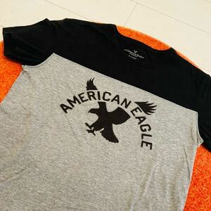 AMERICAN EAGLE カレッジ Tシャツ・ミリタリーTシャツ・アメカジ Tシャツ・dry bones・warehouse・検索用