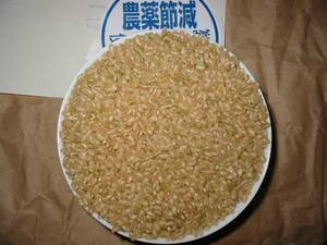 【即決送料込】令和5年産 新米★富山 入善 減化学肥料 コシヒカリ★精米 5kg（玄米低温保管）