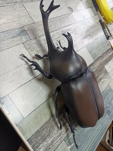 カブトムシ　模型　オモチャ