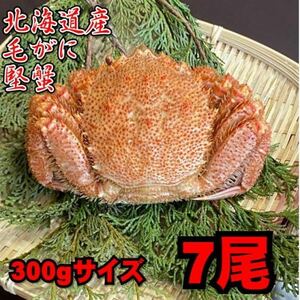 【北海道産】毛がに　7尾（300ｇサイズ）　堅蟹　毛蟹　けがに　ケガニ　蟹　かに　ボイル　母の日　父の日　お中元　お歳暮