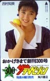 テレホンカード アイドル テレカ 西村知美 ザテレビジョン 創刊300号 N0013-0014