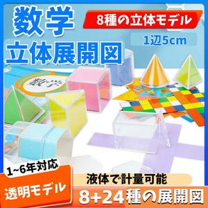 算数　立体展開模型　小学校受験・中学校受験　知育玩具　STEAM 教育　夏休み 冬休み 小学生 立体 展開図 お受験