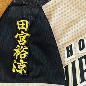 ★送料無料★北海道　日本ハム　ファイターズ　日ハム　田宮裕涼　ネーム 2　黒布　応援　刺繍　ワッペン