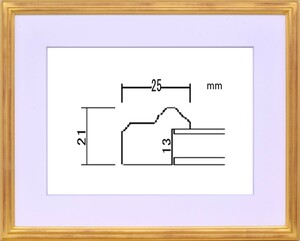 水彩用額縁 木製フレーム アクリル仕様 PF102B サイズF6号