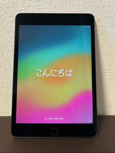 iPad mini 第５世代 Wi-Fiモデル スペースグレイ Apple 動作確認済 画面キズ無し