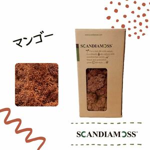 スカンディアモス SCANDIAMOSS マンゴー 50ｇ ディスプレイ 苔 モス 天然素材 調湿調節