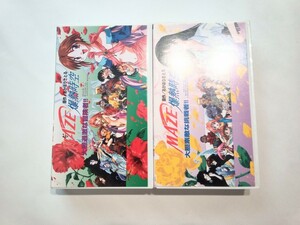 希少 未DVD化 MAZE☆爆熱時空 大胆過激な冒険者 大胆素敵な挑戦者 VHS 全2巻セット OVA 丹下桜 三石琴乃