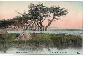 ◆　手彩色　神戸　播州　垂水　海浜　松原海岸