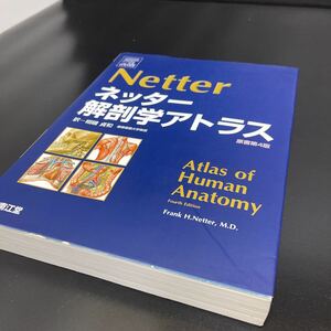 【状態〇】南江堂 ネッター 解剖学アトラス 原書第4版 2009