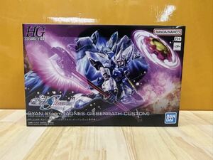 1円スタート 未開封品新品　HG ギャンシュトローム（アグネス・ギーベンラート専用機）機動戦士ガンダムSEED FREEDOM 