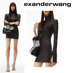 早い者勝ち【タグ付き】 Alexanderwangラインストーンタイトミニワンピ