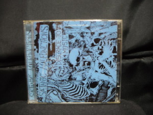 輸入盤2CD/SATANIC MALFUNCTIONS/DISGRACE TO MUSIC/80年代UKハードコアパンクHARDCORE PUNK