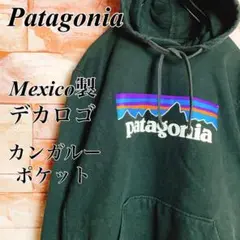 【ユニセックス】パタゴニアPatagonia スウェットパーカー　プルオーバー黒