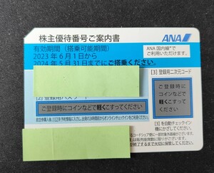 ANA 全日空　優待券　１枚