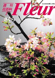 ■送料無料■Y21■週刊花百科　Fleur　フルール　No.２　さくら■（概ね良好）