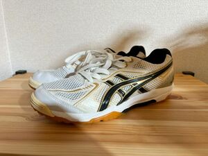 asics☆アシックス☆バレーボールシューズ☆体育館シューズ☆Rothe Japan Light☆TVR471☆25.0cm