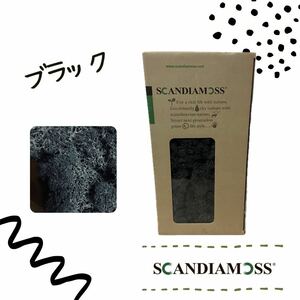 スカンディアモス SCANDIAMOSS ブラック 50ｇ ディスプレイ 苔 モス 天然素材 黒 メンテナンスフリー