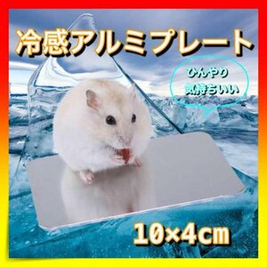 ＊冷感アルミプレート 10×4cm 小動物 夏 熱中症対策 ハムスター ペット