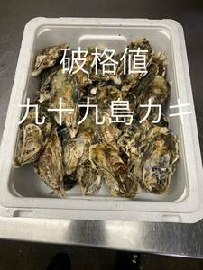 引き取り限定九十九島かき　200キロ（滅菌処理済み）　真牡蠣　殻付き牡蠣（8〜11個/kg）