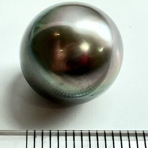 ［南洋黒蝶真珠3.68g］A 約18.411ct 14.5×13.3mm ルース 裸石 宝石 black pearl tahitian 真珠 テDA4